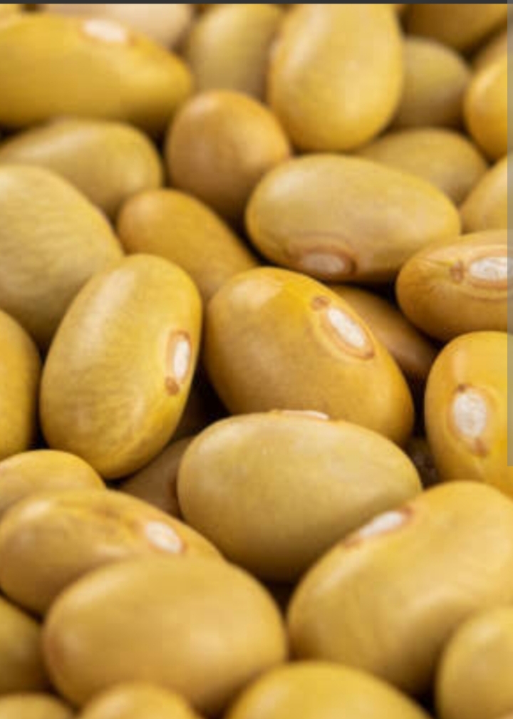 Yellow Beans